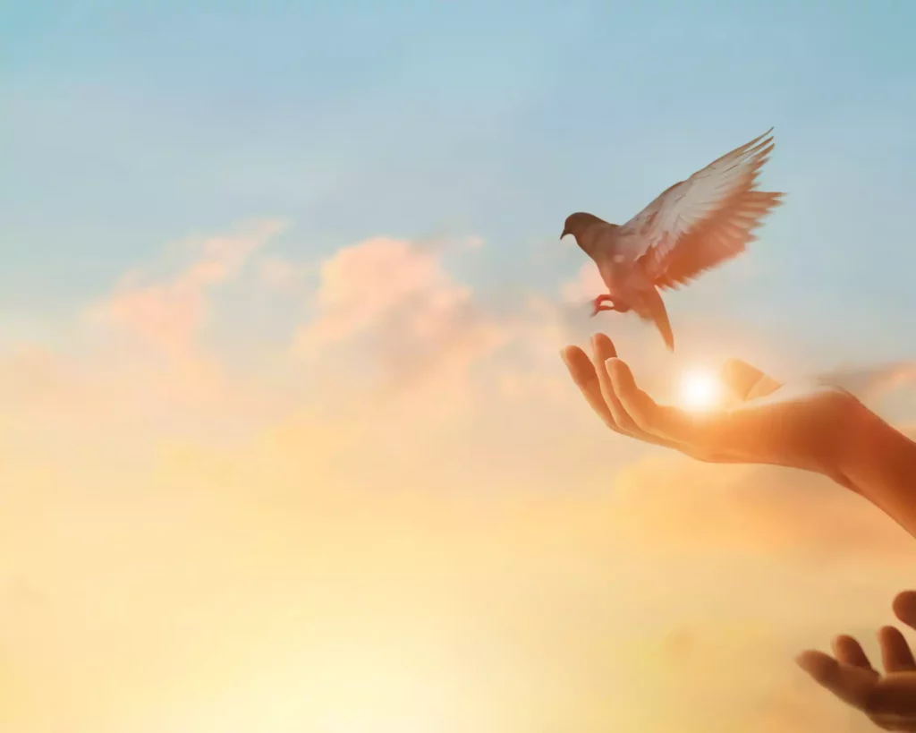 Visualisation et Manifestation Croyances Limitantes et Manifestation : Identifier et Transmuter les Blocages Invisibles