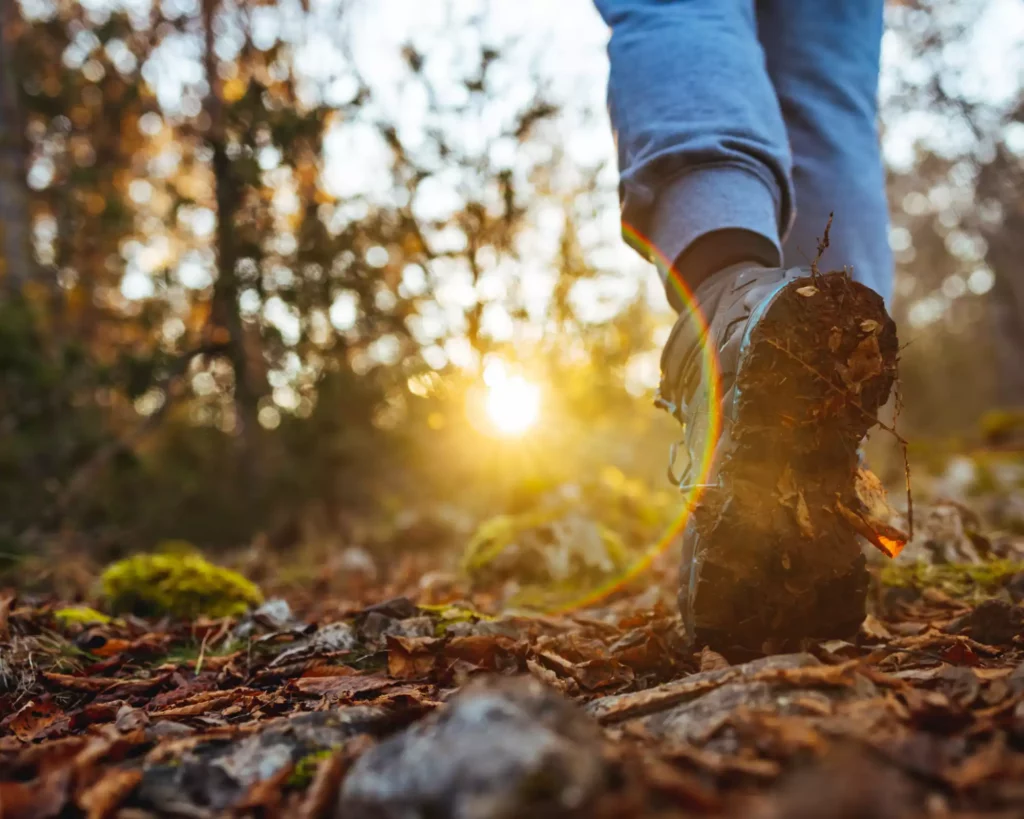 Entrepreneur en transformation spirituelle grâce au ThetaHealing®