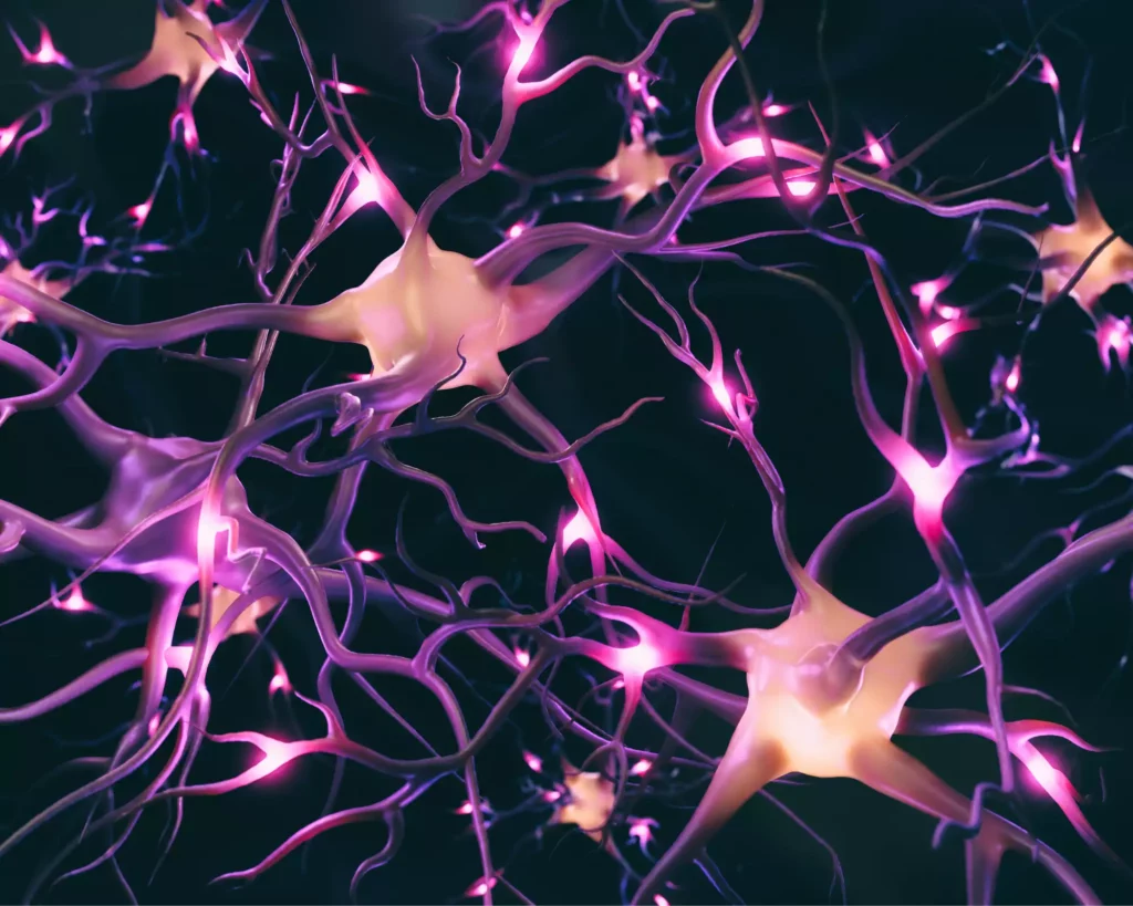 Représentation en 3D de neurones lumineux interconnectés, illustrant la réorganisation du système nerveux après la libération d'un traumatisme refoulé