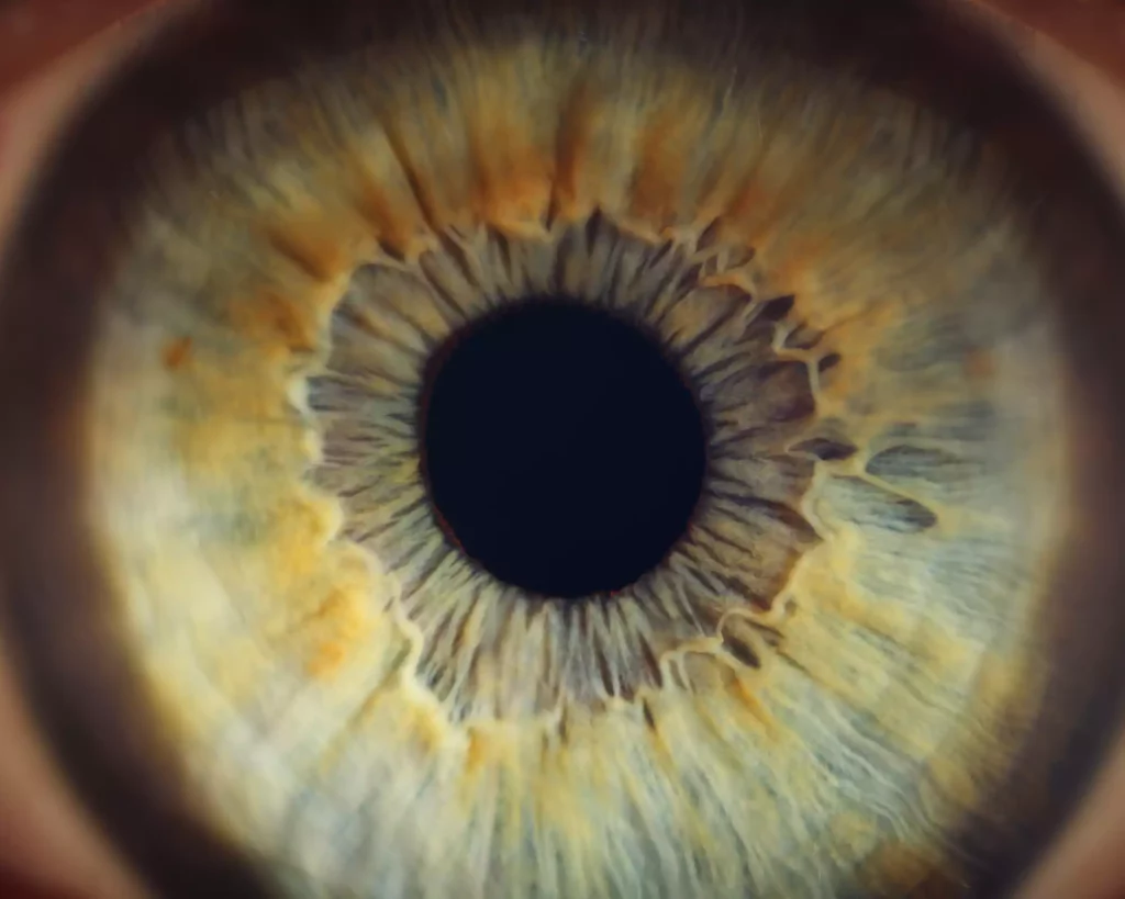 Illustration d’un biais cognitif déformant la perception de la réalité.