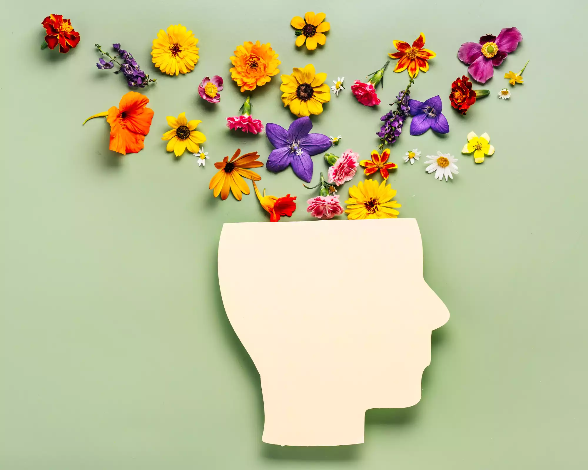 Alimenter son cerveau avec la pensée positive