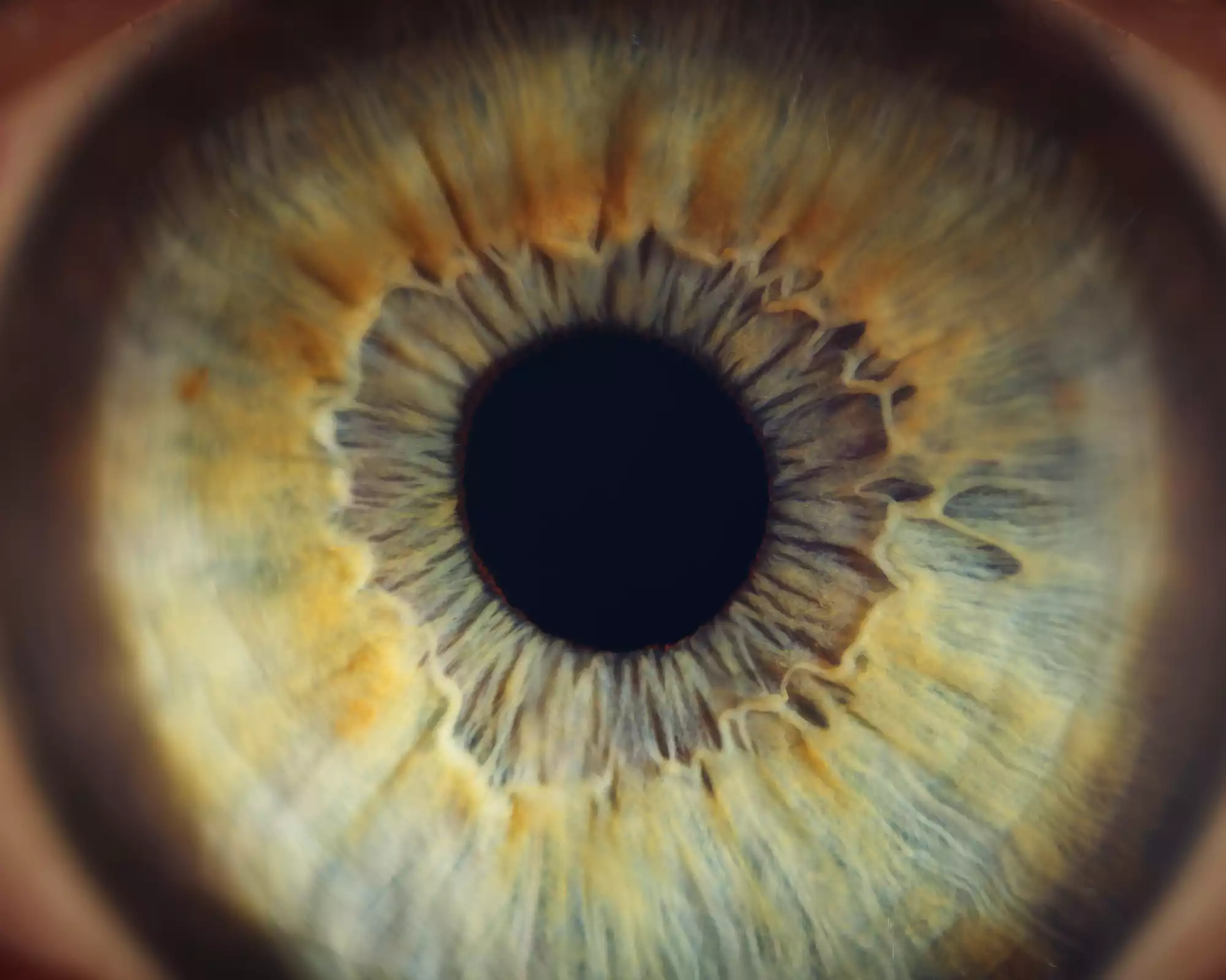 Illustration d’un biais cognitif déformant la perception de la réalité.